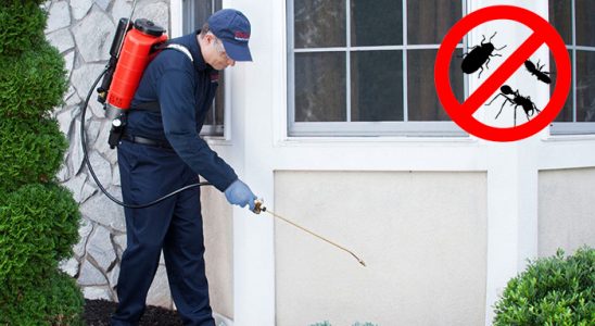 Çaycuma Hamam Böceği İlaçlama böcek ilaçlama ve haşere kontrolü — ilaclama-tr.com